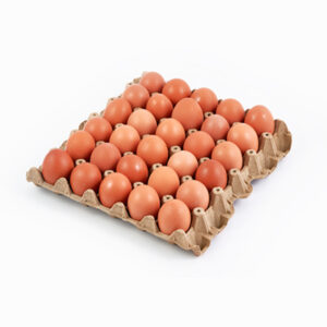 Huevos Ecológicos